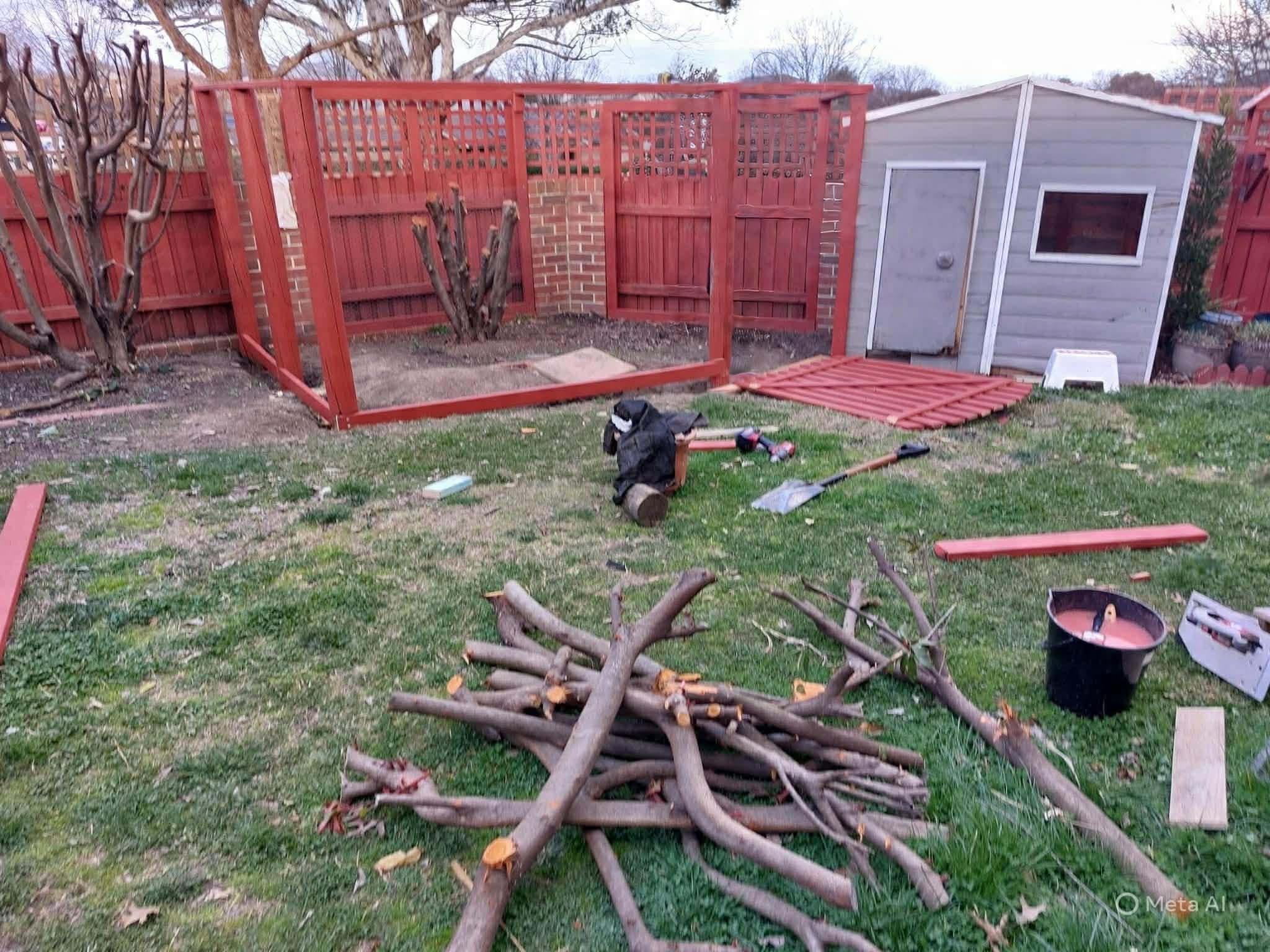 Backyard before